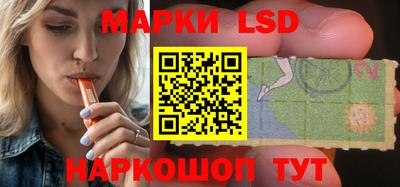 spice Заволжье