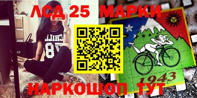spice Заволжье