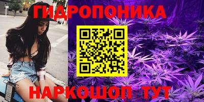 apvp Жуковский